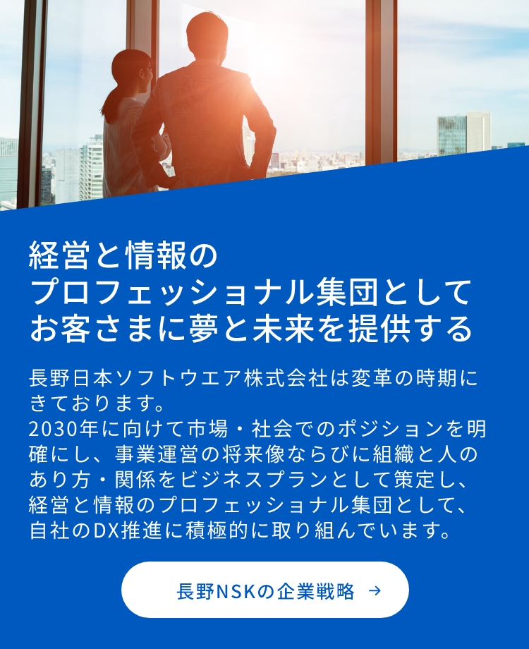 長野日本ソフトウエアの企業戦略
